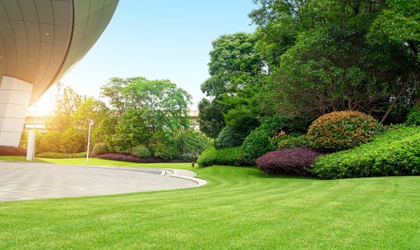 Cost of Commercial Lawn Mowing in Draper