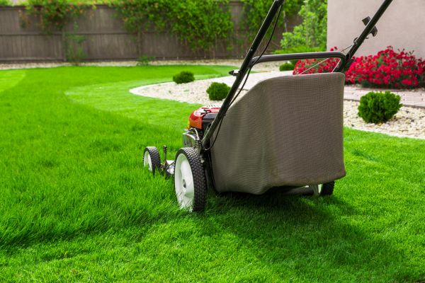 Cost of Lawn Mowing in Draper