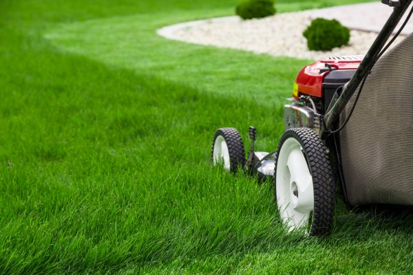 Cost of Mowing Service in Draper