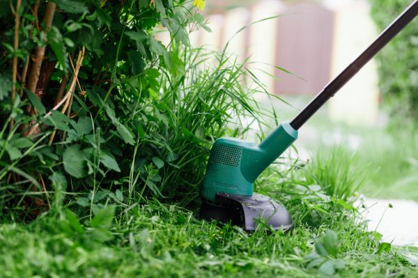 Cost of Weed Whacking in Draper