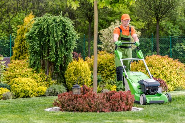 Cost of Yard Service in Draper