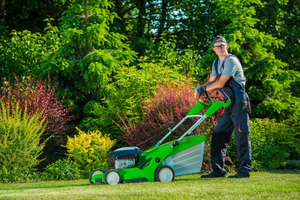 Cost of Yard Work Service in Draper