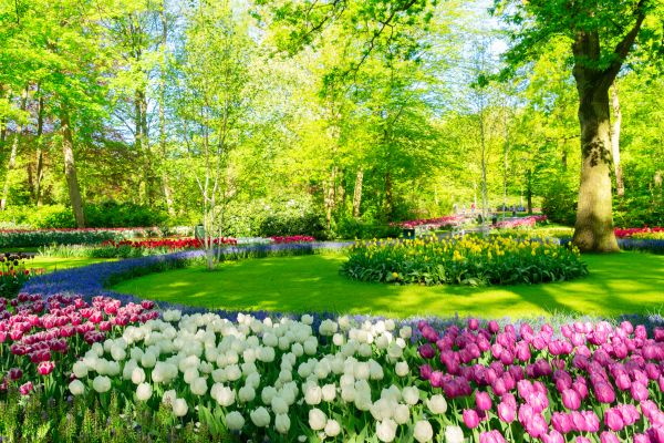 Cost of Spring Lawn Care in Draper