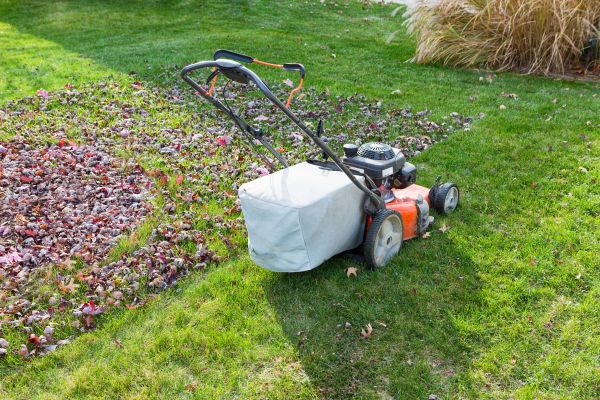 Cost of Seasonal Lawn Care in Draper