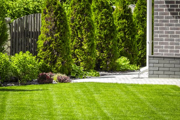 Turf Management Service