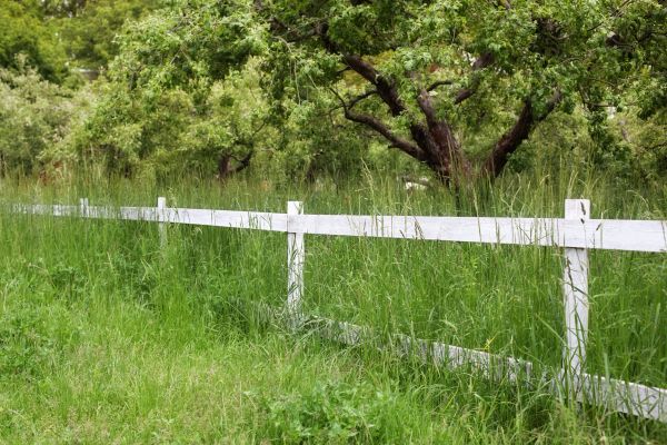 Cost of Fence Line Trimming in Draper