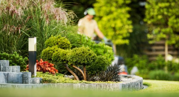 Cost of Residential Yard Maintenance in Draper