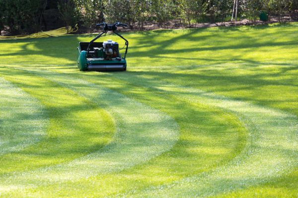Cost of Business Lawn Mowing in Draper