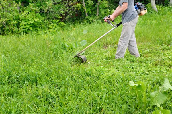 Weed Clearing Service