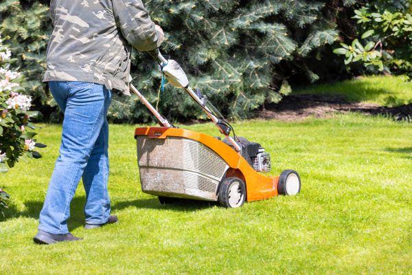 Cost of Springtime Lawn Care in Draper