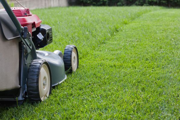 Cost of Spring Lawn Maintenance in Draper