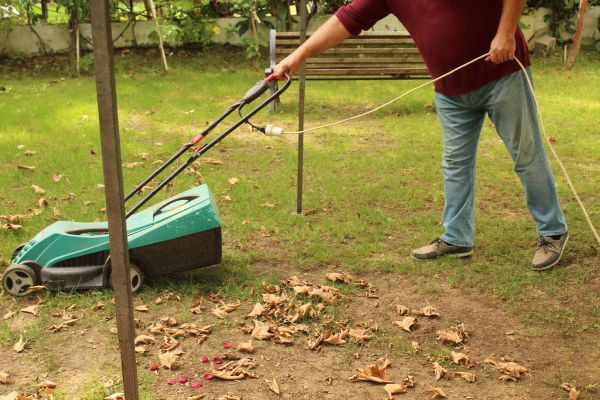 Leaves Mowing Service
