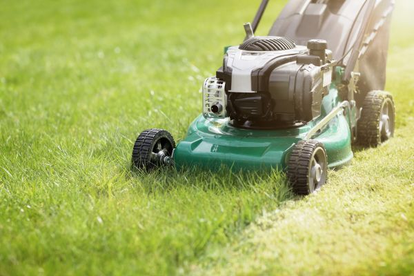 Cost of Spring Grass Trimming in Draper