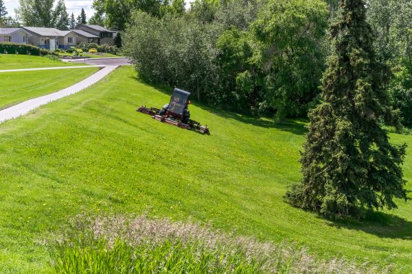 Cost of Sloped Area Mowing in Draper