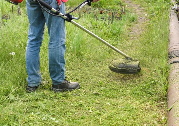 Cost of Tall Grass Trimming in Draper